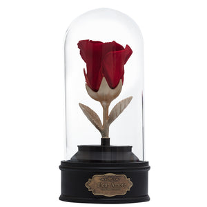 RED PRESERVED ROSE | BEAUTY AND THE BEAST MUSIC GLOBE