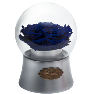 Royal Blue Preserved Rose｜The Only Large Silver Music Globe