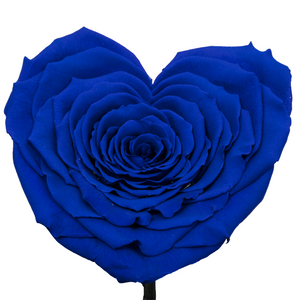 Royal Blue Heart Shape Preserved Rose | Beauty and The Beast Glass Dome