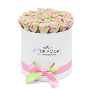 Green & Pink Mix Preserved Roses | Small Round White Huggy Rose Box