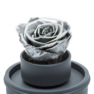 SILVER PRESERVED ROSE｜THE ONLY REGULAR GREY MUSIC GLOBE