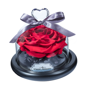 Red Preserved Rose | Glass Dome with Heart Handle