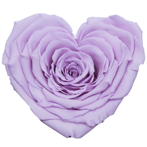 Purple Heart Shape Preserved Rose | Beauty and The Beast Glass Dome