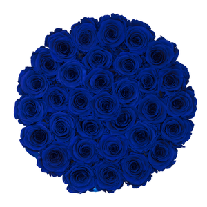 Royal Blue Preserved Roses | Medium Round White Huggy Rose Box