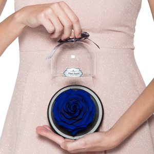 Royal Blue Preserved Rose | Glass Dome with Heart Handle