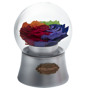 Rainbow Preserved Rose｜The Only Large Silver Music Globe