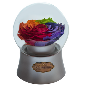 Rainbow Preserved Rose｜The Only Large Silver Music Globe