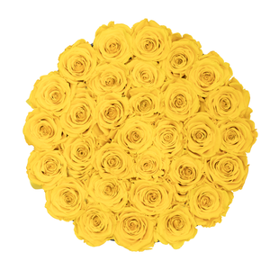 Yellow Preserved Roses | Medium Round Black Huggy Rose Box