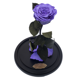 Purple Preserved Rose | Beauty and The Beast Glass Dome