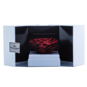 Fire Red Mega Preserved Rose | Swing Opening Box