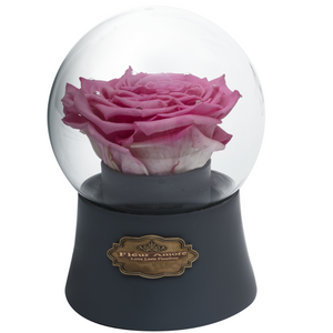 Pink Preserved Rose｜The Only Large Grey Music Globe