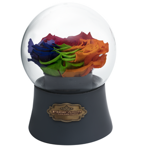 Rainbow Preserved Rose｜The Only Large Grey Music Globe