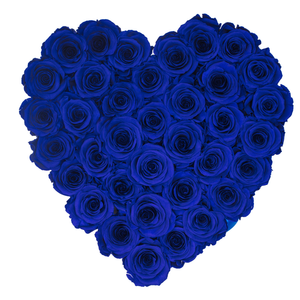 Royal Blue Preserved Roses | Heart White Huggy Rose Box