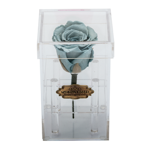 LIGHT BLUE PRESERVED ROSE | PETITE ACRYLIC ROSE BOX