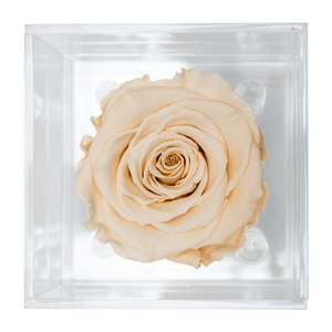 PEACH PRESERVED ROSE | PETITE ACRYLIC ROSE BOX