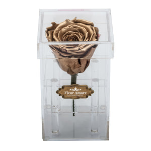 GOLD PRESERVED ROSE | PETITE ACRYLIC ROSE BOX