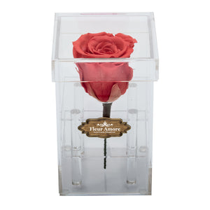 BRIGHT RED PRESERVED ROSE | PETITE ACRYLIC ROSE BOX