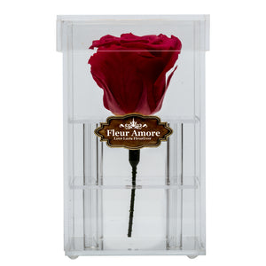 FIRE RED PRESERVED ROSE | PETITE ACRYLIC ROSE BOX