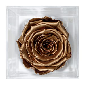 GOLD PRESERVED ROSE | PETITE ACRYLIC ROSE BOX