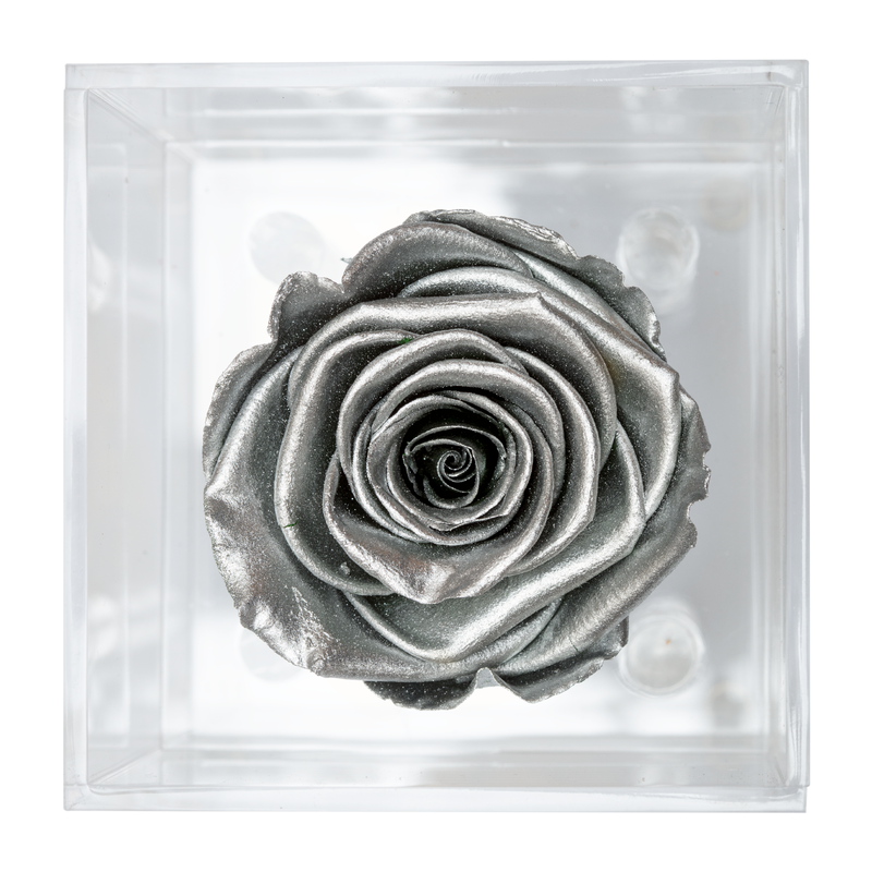 SILVER PRESERVED ROSE | PETITE ACRYLIC ROSE BOX