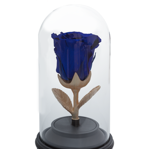 ROYAL BLUE PRESERVED ROSE | BEAUTY AND THE BEAST MUSIC GLOBE