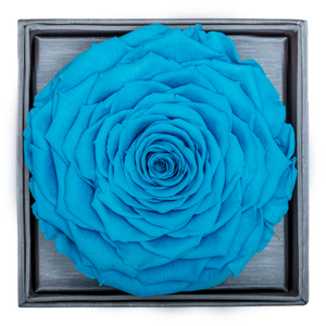 BLUE MEGA PRESERVED ROSE | CRYSTALLINE ROSE BOX