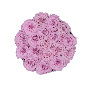 LIGHT PINK PRESERVED ROSES | SMALL ROUND WHITE HUGGY ROSE BOX