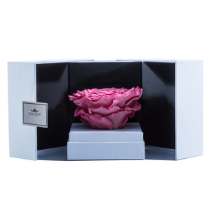 PINK MEGA PRESERVED ROSE | SWING OPENING BOX