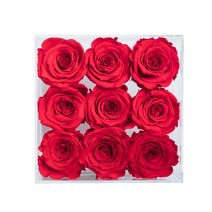 RED COLOR PRESERVED ROSES | SMALL ACRYLIC ROSE BOX