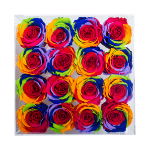 RAINBOW COLOR PRESERVED ROSE | MEDIUM ACRYLIC ROSE BOX