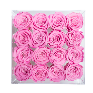 PINK COLOR PRESERVED ROSES | MEDIUM ACRYLIC ROSE BOX