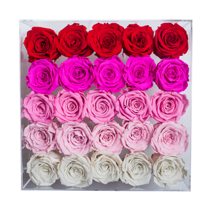 FADE PINK PRESERVED ROSES | LARGE ACRYLIC ROSE BOX