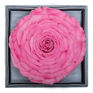 PINK MEGA PRESERVED ROSE | CRYSTALLINE ROSE BOX