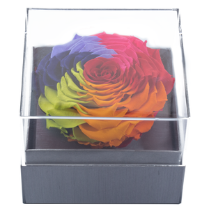 RAINBOW MEGA PRESERVED ROSE | CRYSTALLINE ROSE BOX