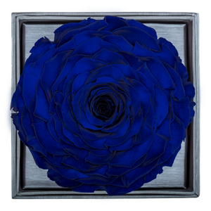 ROYAL BLUE MEGA PRESERVED ROSE | CRYSTALLINE ROSE BOX