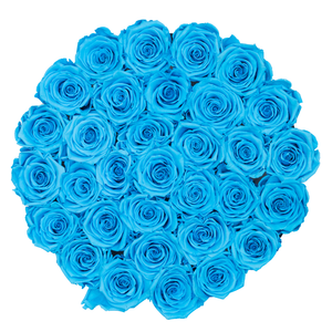 Blue Preserved Roses | Small Round White Huggy Rose Box