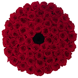 Red & Black Preserved Roses | Large Round White Huggy Rose Box