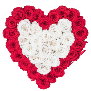 Red and White Preserved Roses | Heart White Huggy Rose Box