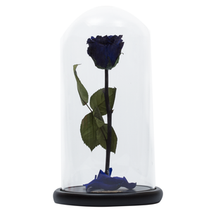 Royal Blue Preserved Rose | Beauty and The Beast Glass Dome