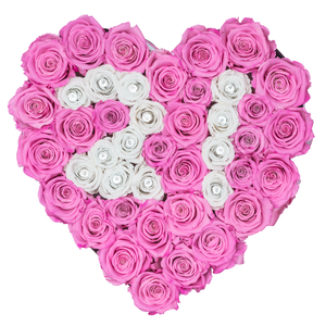 Rose Number "21" Pink and White Preserved Roses | Heart White Huggy Rose Box