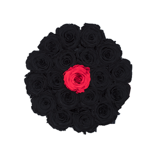 Black & One Red Preserved Roses | Small Round Black Huggy Rose Box