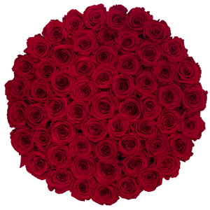 RED PRESERVED ROSES | LARGE ROUND WHITE HUGGY ROSE BOX