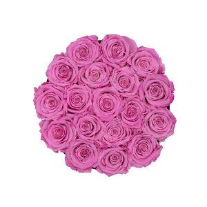 Pink Preserved Roses | Small Round White Huggy Rose Box