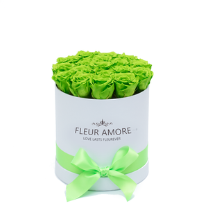 Green Preserved Roses | Small Round White Huggy Rose Box