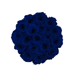 Royal Blue Preserved Roses | Small Round Black Huggy Rose Box