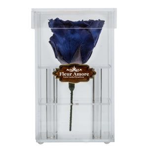 ROYAL BLUE PRESERVED ROSE | PETITE ACRYLIC ROSE BOX