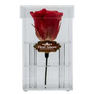 DARK PINK PRESERVED ROSE | PETITE ACRYLIC ROSE BOX