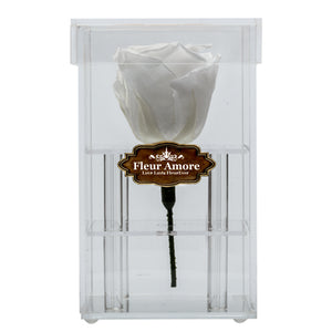 WHITE PRESERVED ROSE | PETITE ACRYLIC ROSE BOX