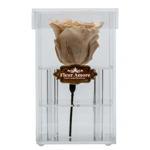 PEACH PRESERVED ROSE | PETITE ACRYLIC ROSE BOX